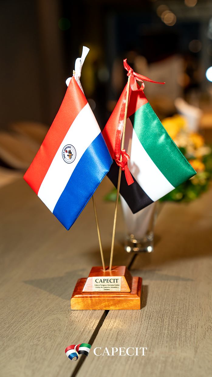 Banderas de Paraguay y Emiratos Árabes Unidos sobre la placa de CAPECIT